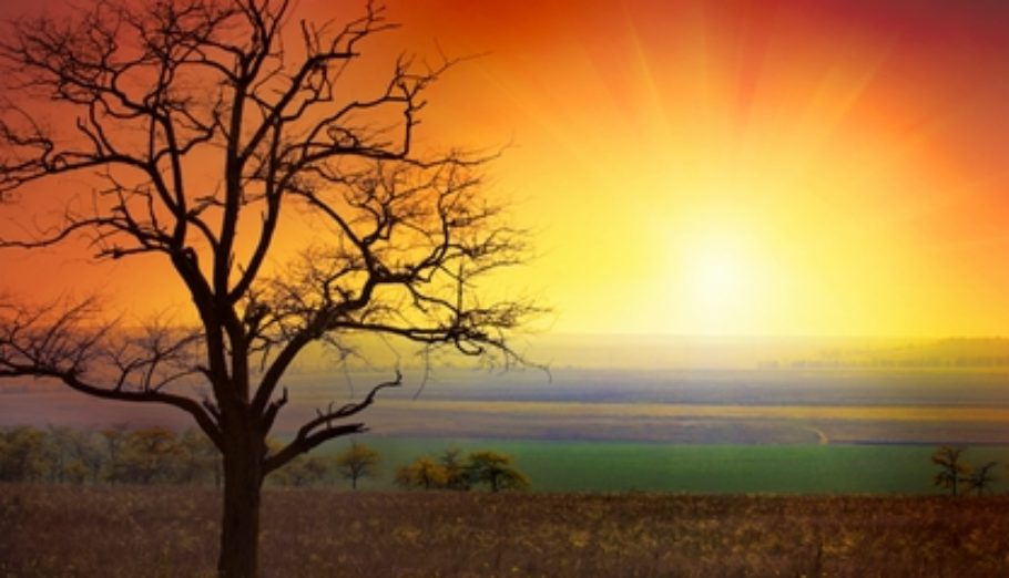 The Sun Comes Up For Parents of Special Needs Kids Plaid for Women