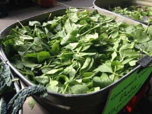 Personal photo of spinach from the farmer’s market