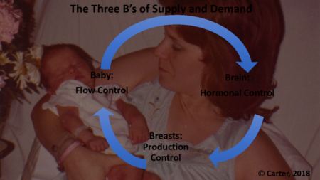 The Three B's of Supply & Demand Process