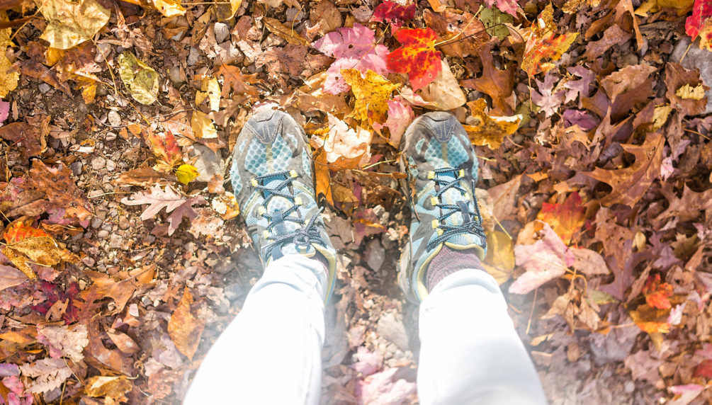Many fallen autumn brown orange golden leaves on ground with shoes