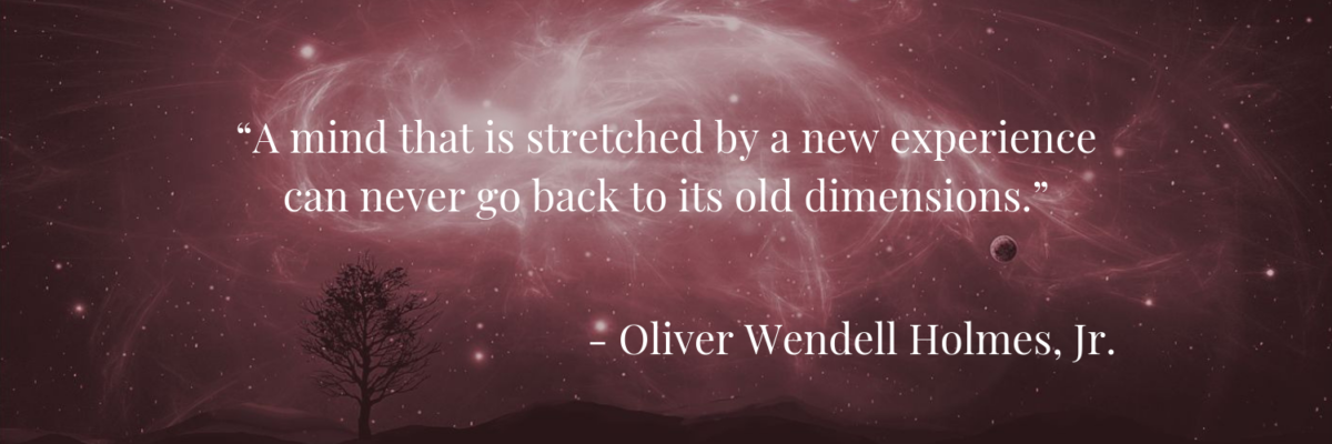 “A mind that is stretched by a new experience can never go back to its old dimensions.” —Oliver Wendell Holmes, Jr.