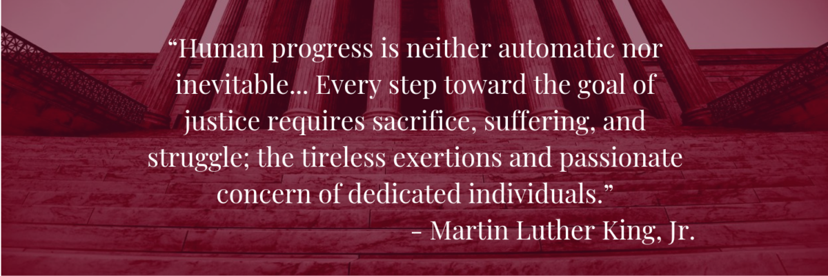 “Human progress is neither automatic nor inevitable... Every step toward the goal of justice requires sacrifice, suffering, and struggle; the tireless exertions and passionate concern of dedicated individuals.” -  Martin Luther King, Jr.