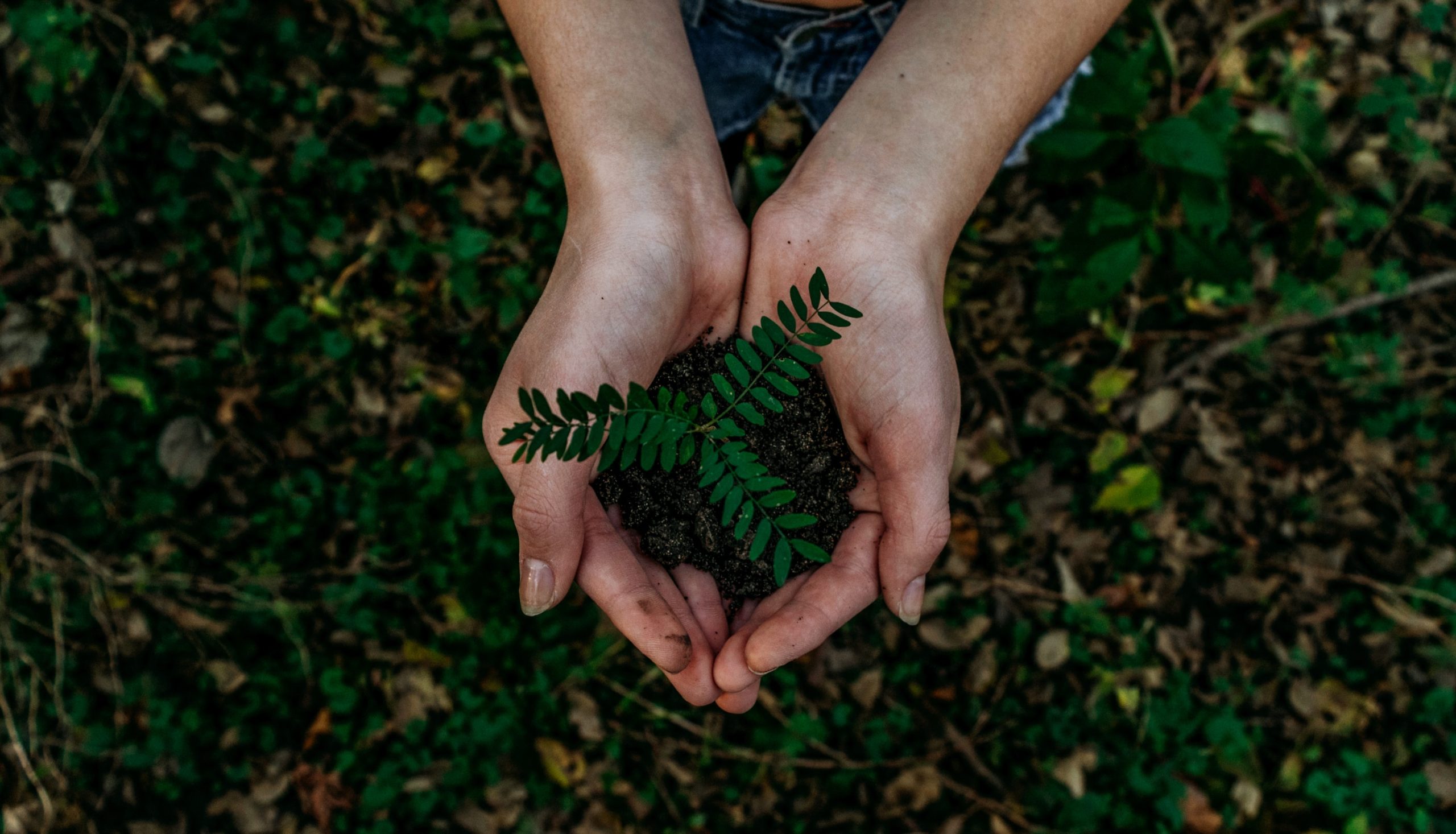 Getting through a Tumultuous Time