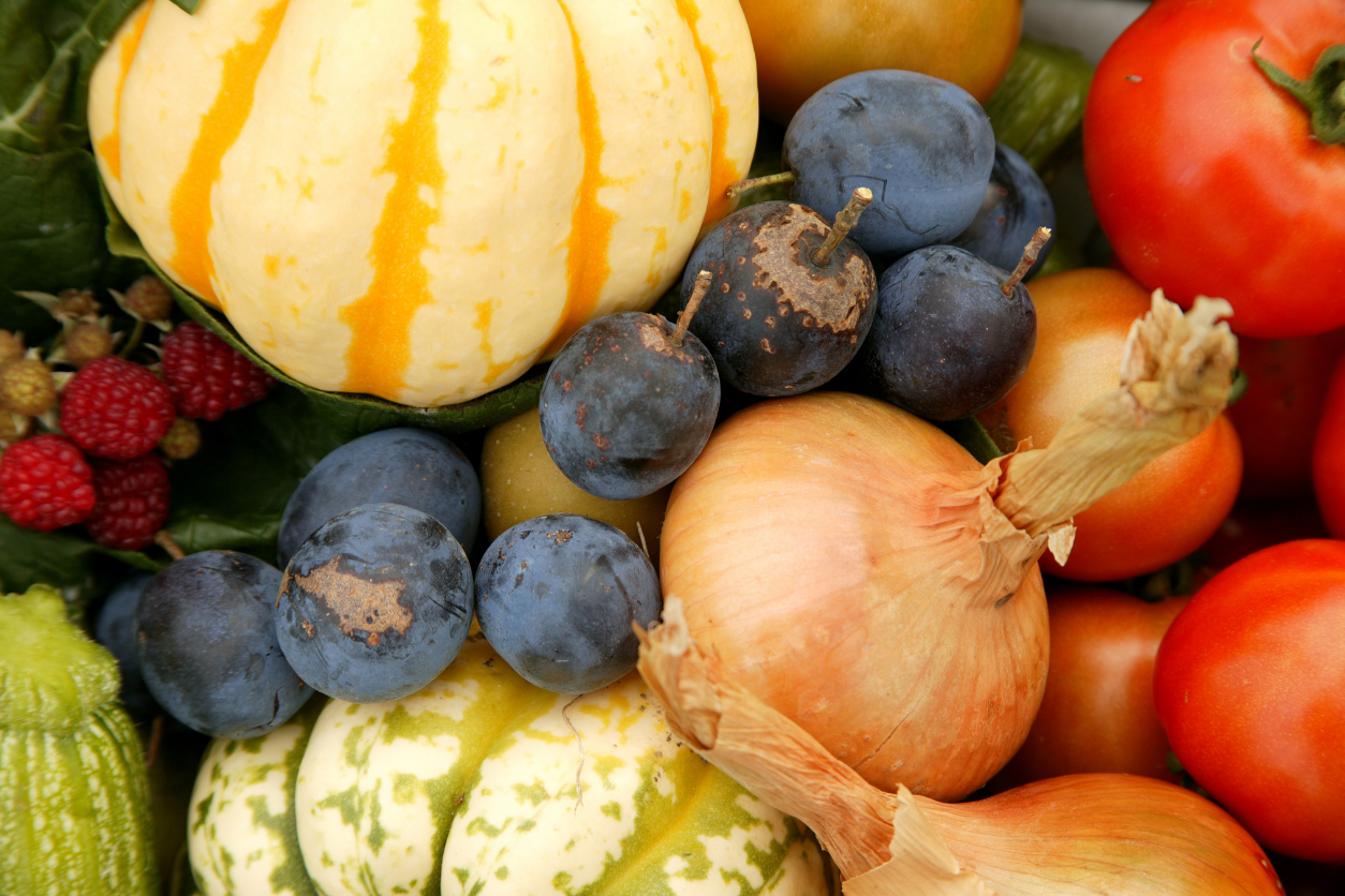 Personalize Your Plate During National Nutrition Month