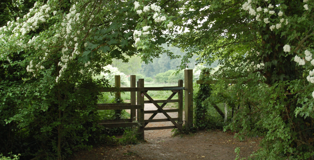 Building Fences