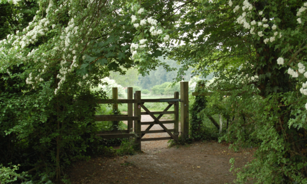 Building Fences