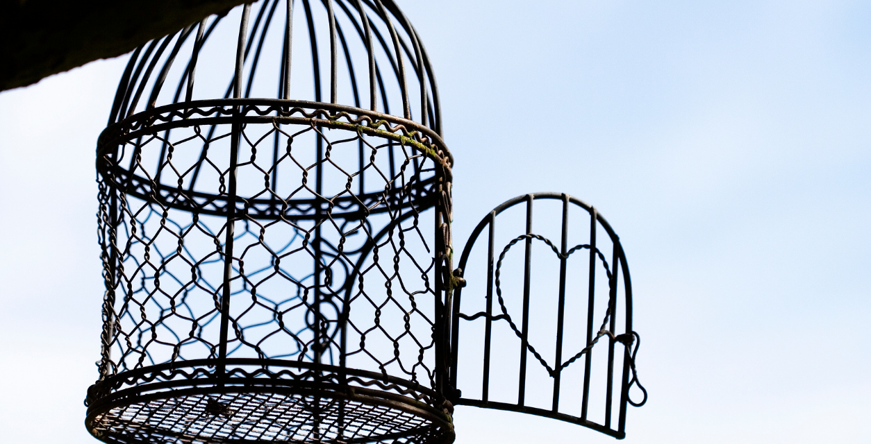 Safe in the Cage