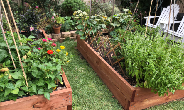 IN THE GARDEN