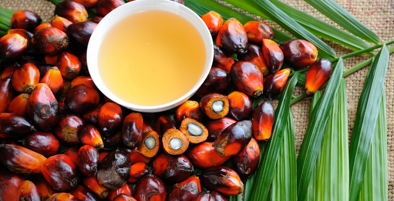 Tropical Oils: The Scoop on Palm Oil