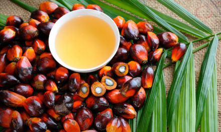 Tropical Oils: The Scoop on Palm Oil