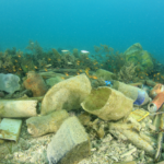Bits of Plastic