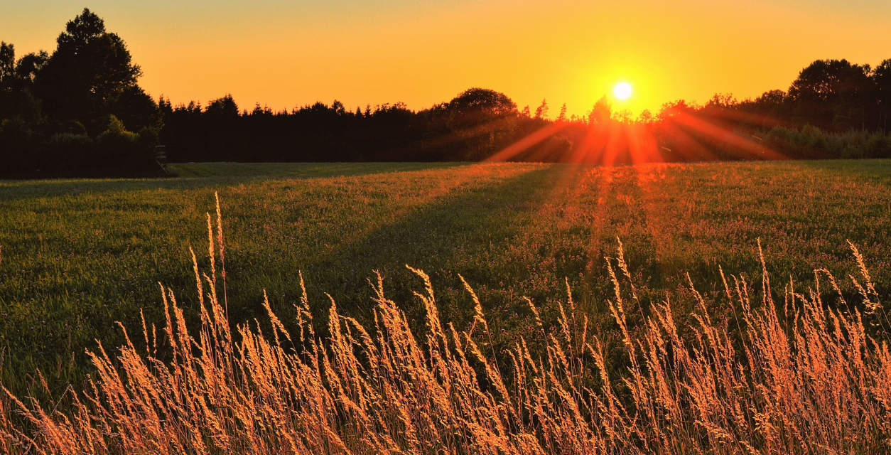 Pockets of Peace: Being Present
