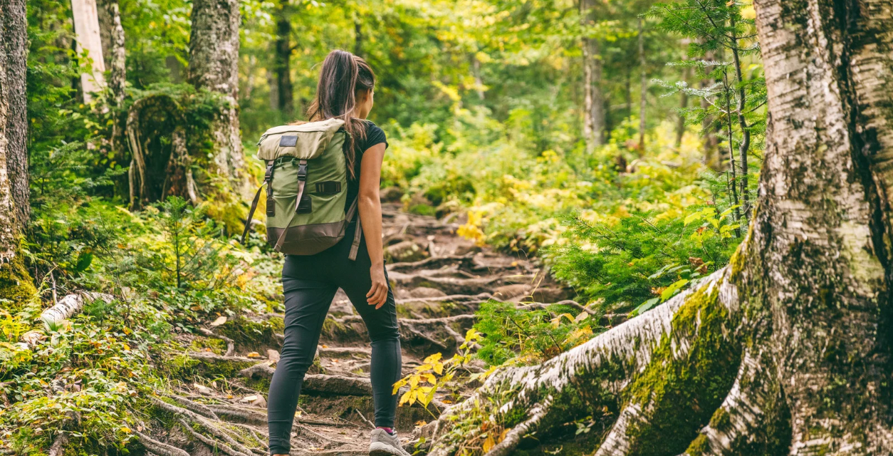 Not All Those Who Wander Are Lost
