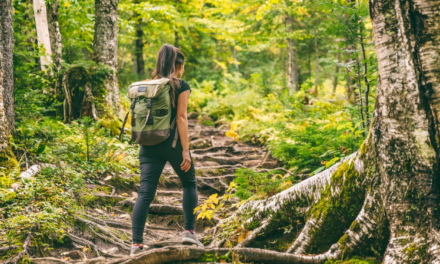 Not All Those Who Wander Are Lost