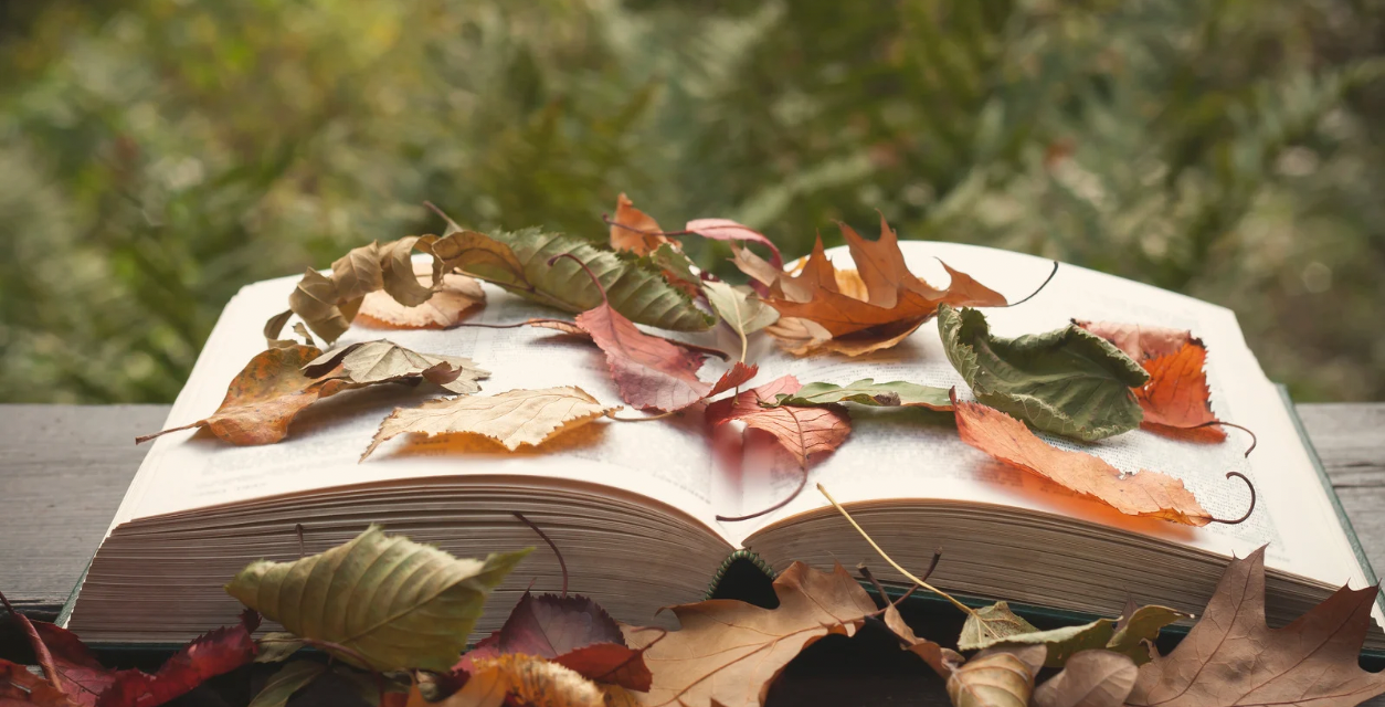 Storytelling Builds Connection and Courage