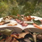 Storytelling Builds Connection and Courage