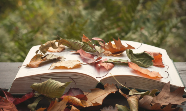 Storytelling Builds Connection and Courage
